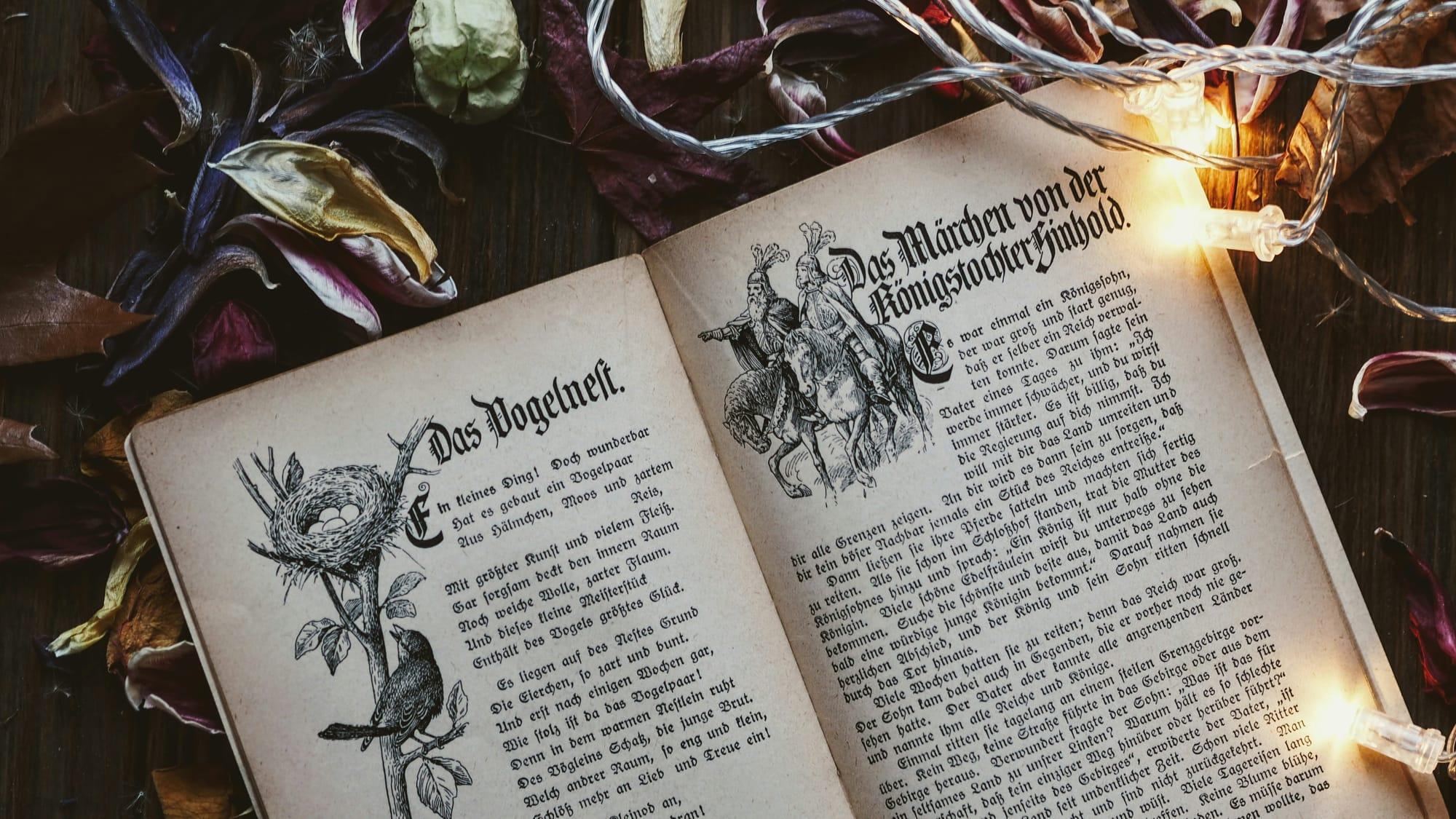 A photo of a fantasy-style book with illustrations against the background of dried flowers.